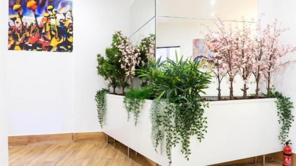 Ilustre Rooms Malaga Room photo